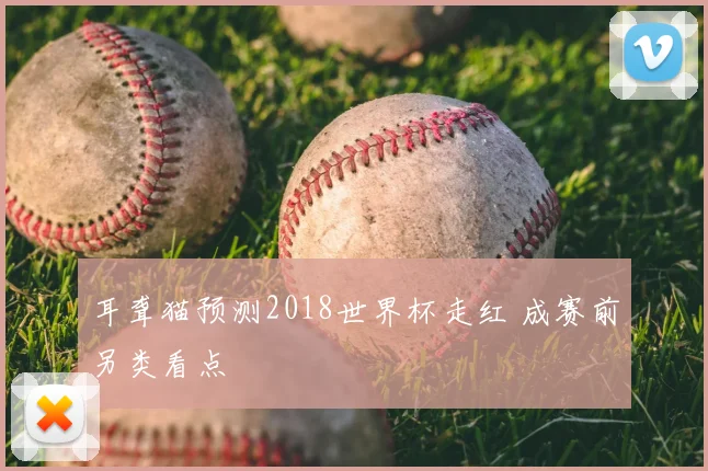 耳聋猫预测2018世界杯走红 成赛前另类看点