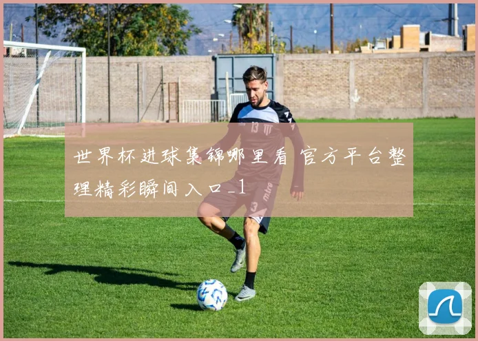 世界杯进球集锦哪里看 官方平台整理精彩瞬间入口_1