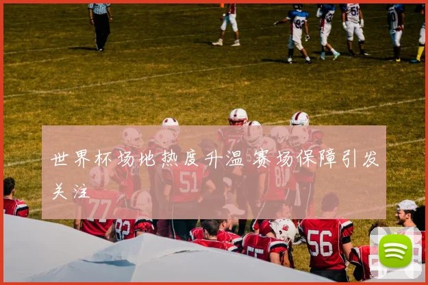 世界杯场地热度升温 赛场保障引发关注