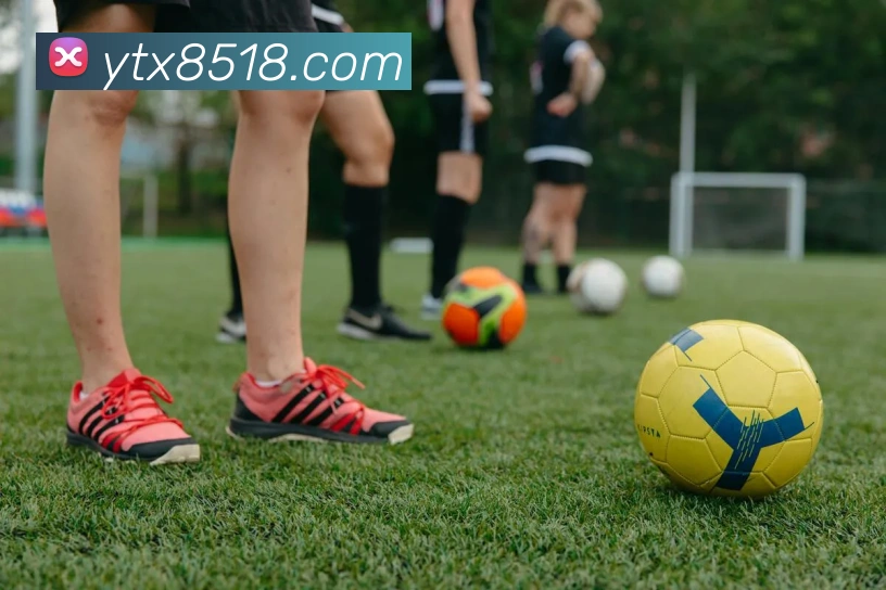 星空官方网站发展历程